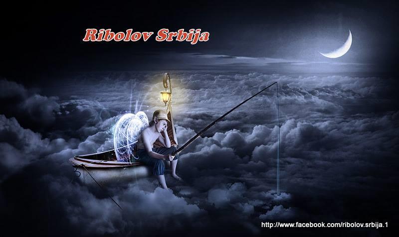 haioase - 9351061490517152920282046585375n.jpg